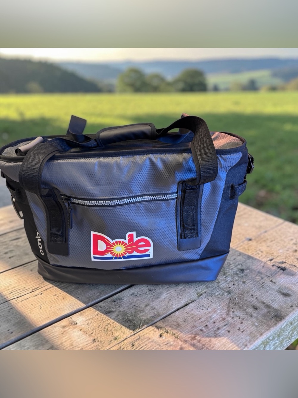 Igloo Cooler Bag ‘Dole’ insignia Bag